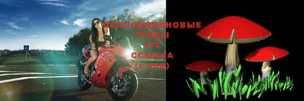 MESCALINE Арсеньев