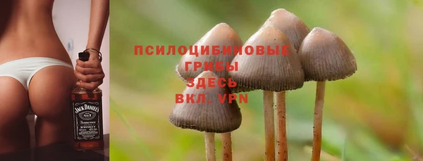 MESCALINE Арсеньев