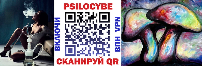 Псилоцибиновые грибы мицелий Нижняя Тура